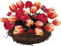 a basket of spring flowers